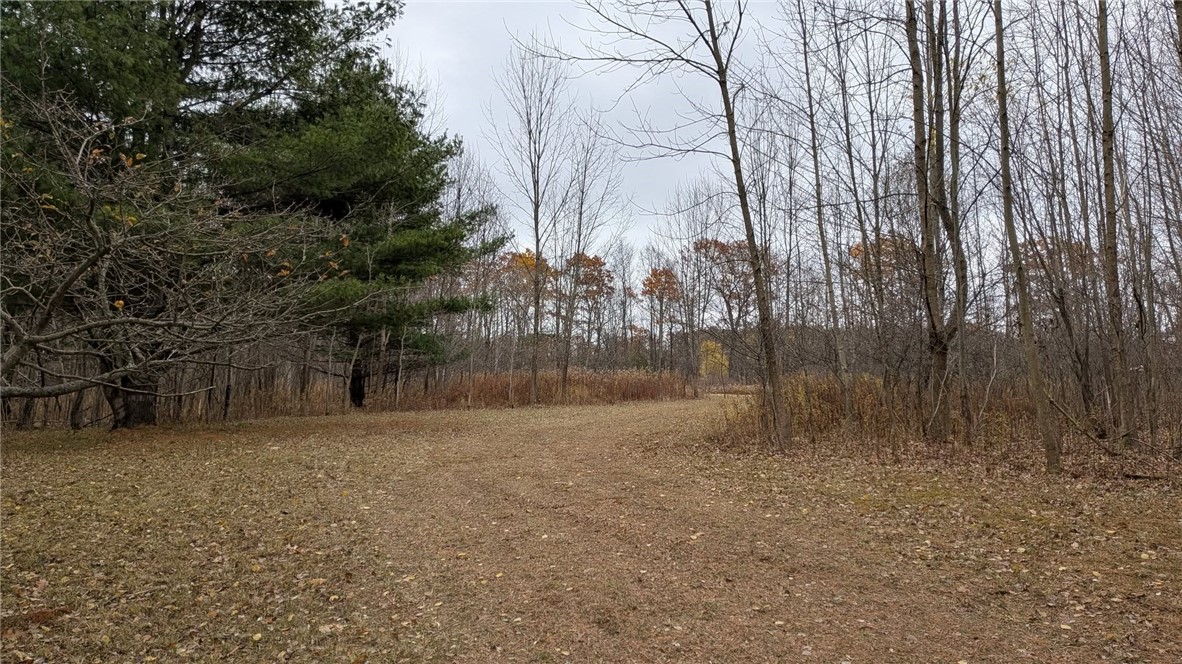 0 Shute Road Dansville, NY 14437 - Photo 3 of 16