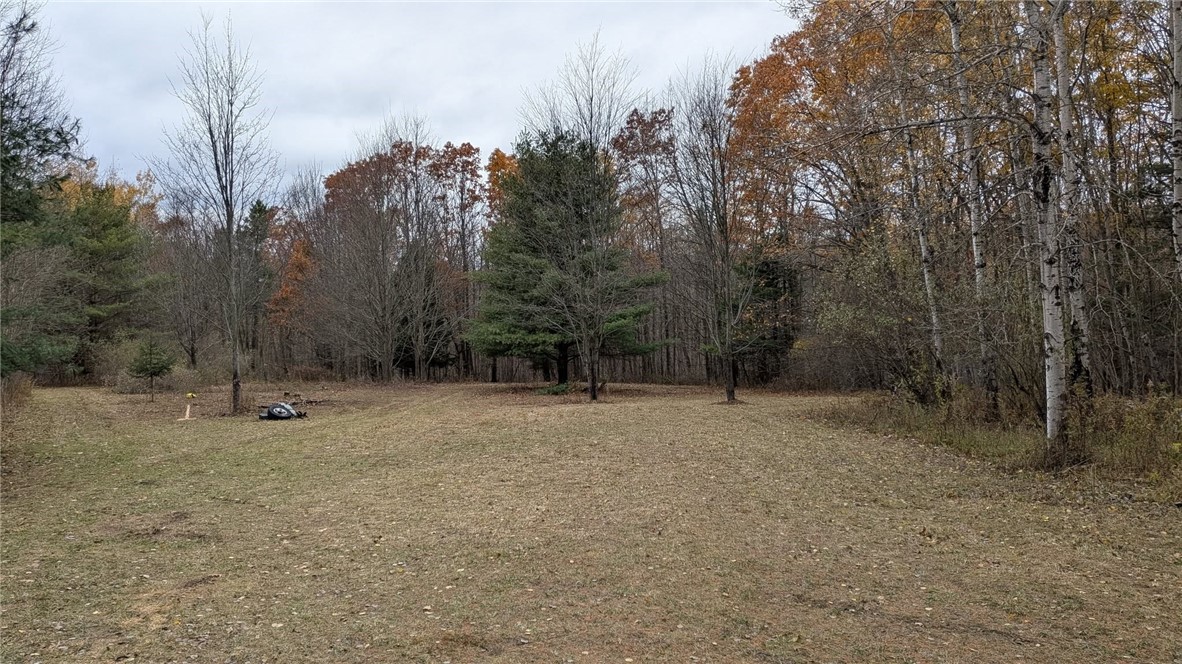 0 Shute Road Dansville, NY 14437 - Photo 8 of 16