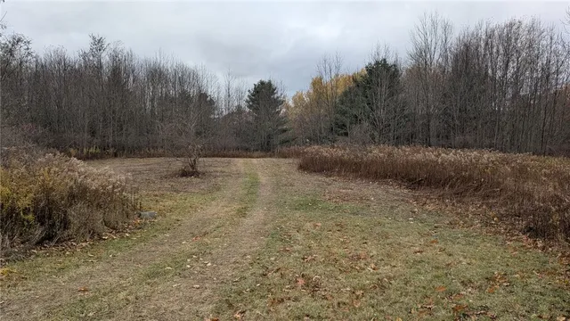$199,999 | 0 Shute Road, Dansville, NY 14437