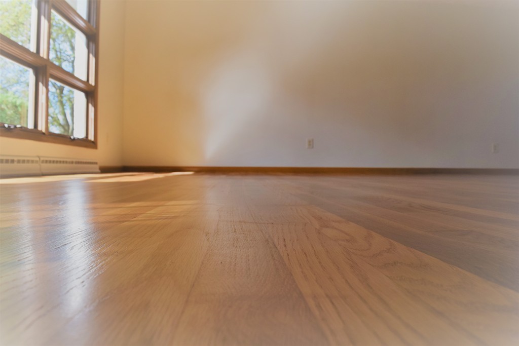18 Thorndike Road Lowell, MA 01852 - Photo 3 of 25 Gallery Image 3