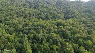 603 Sled Creek Road Duff, TN 37729 - Photo 42 of 42 Attach0