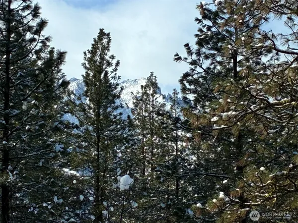 $1,590,000 | 219 Dempsey Road, Leavenworth, WA 98826