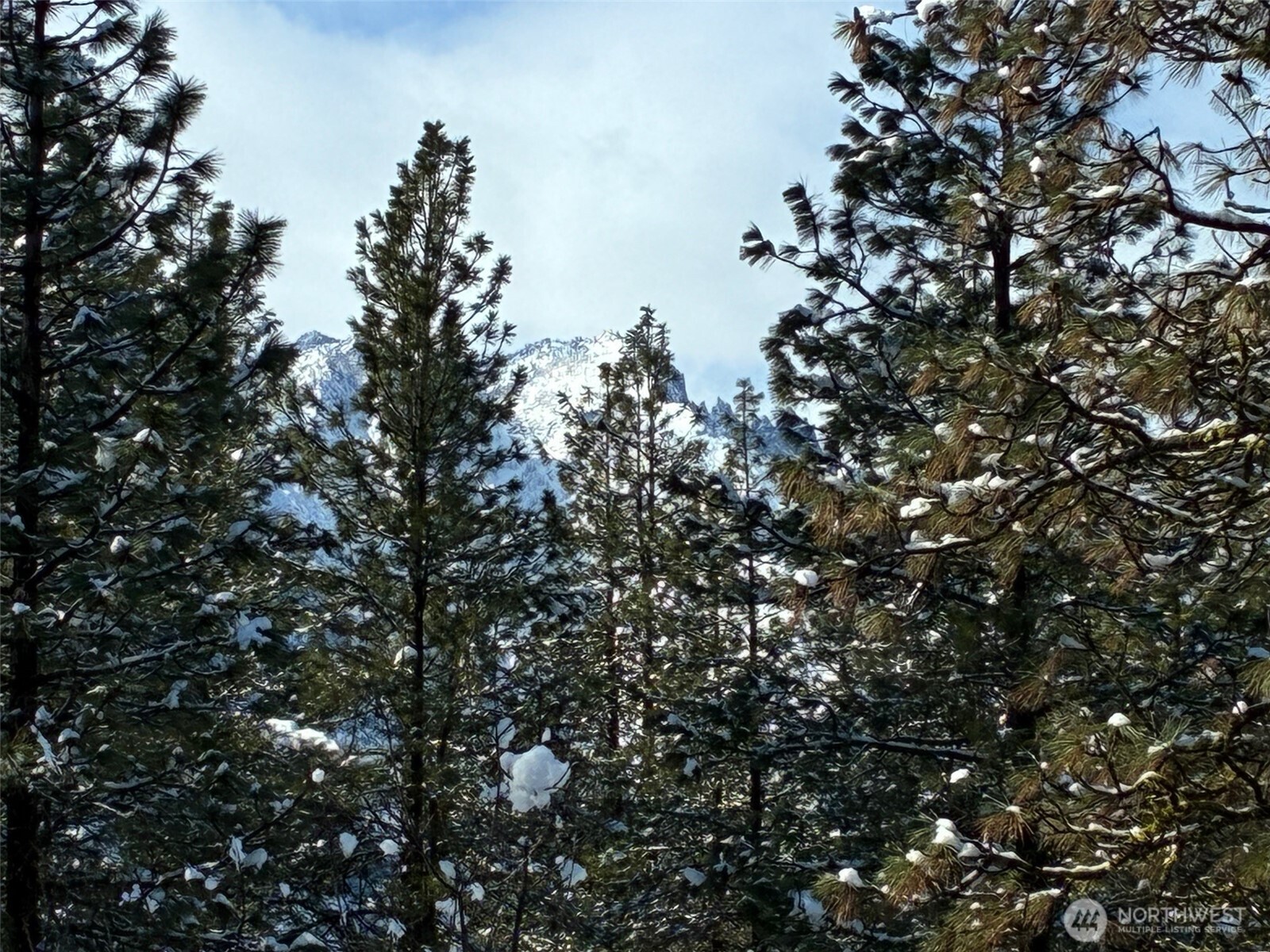 219 Dempsey Road Leavenworth, WA 98826 - Photo 35 of 38