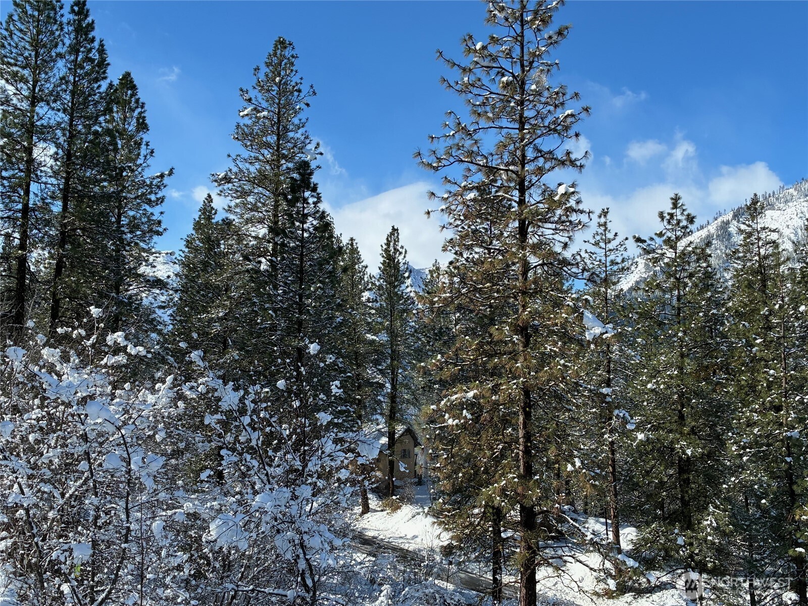 219 Dempsey Road Leavenworth, WA 98826 - Photo 36 of 38