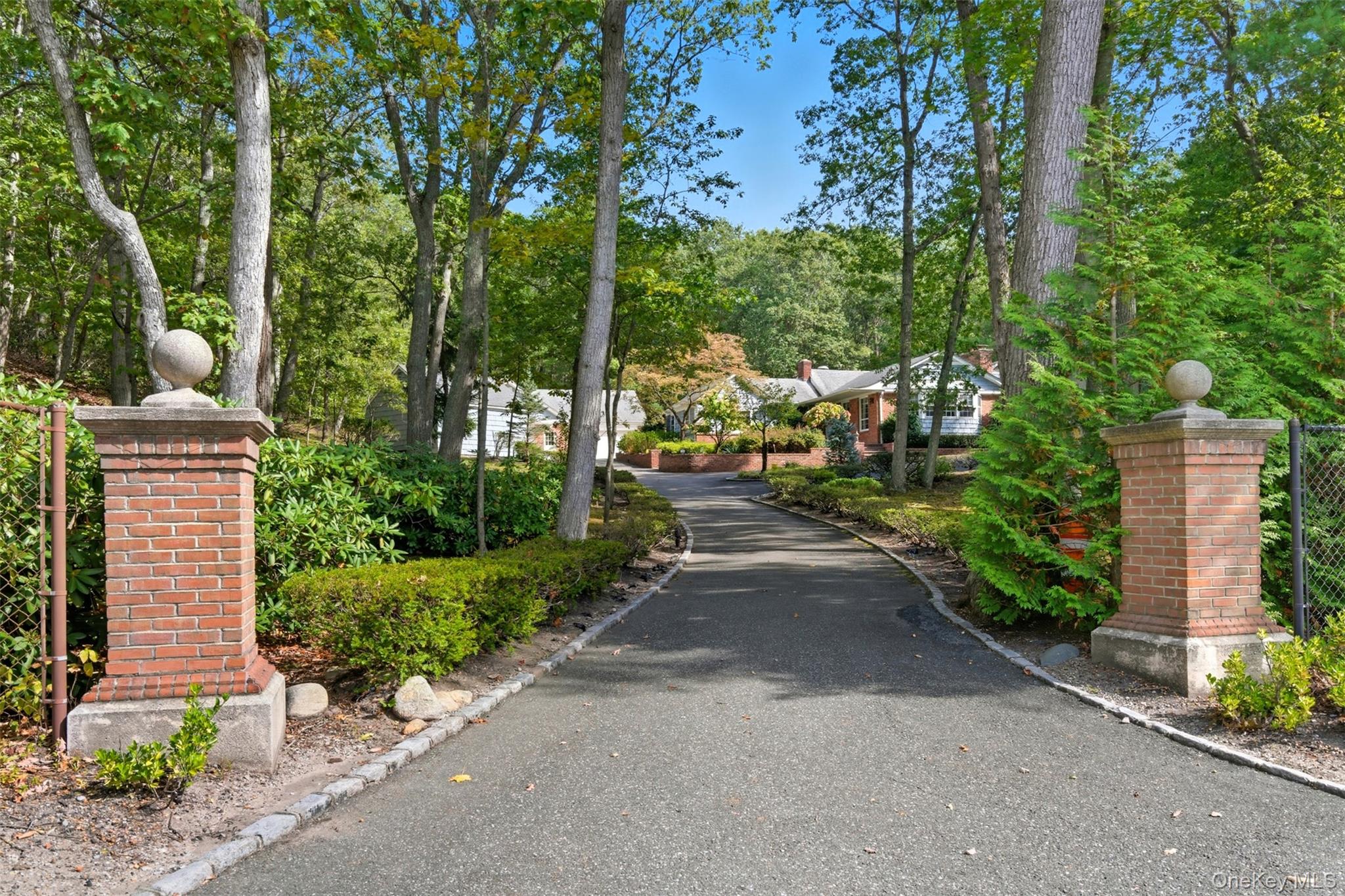 a view of a street with potted plants and a fountain