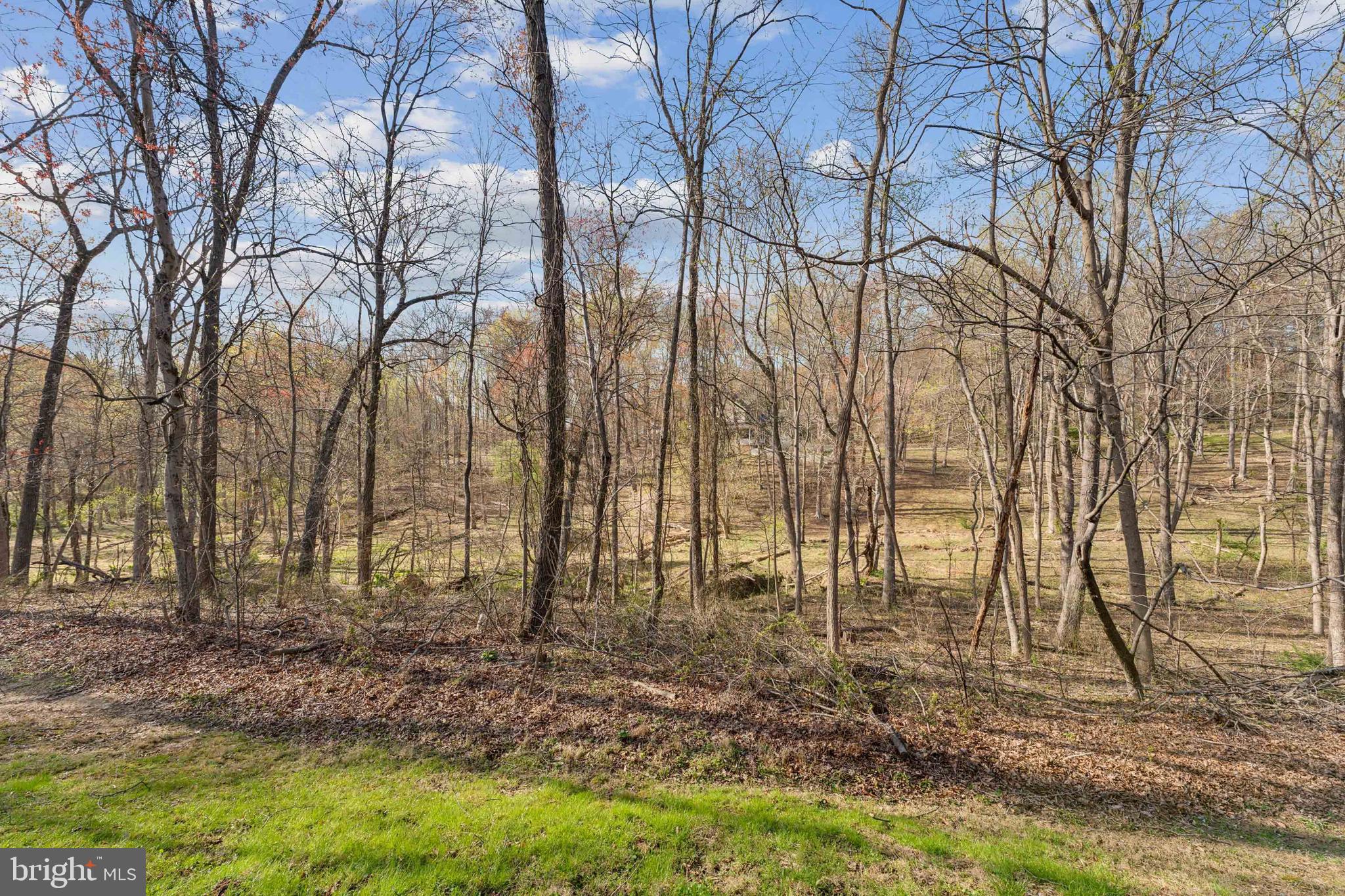 824 Hoods Mill Road Cooksville, MD 21723 - Photo 50 of 56 Gallery Image 50