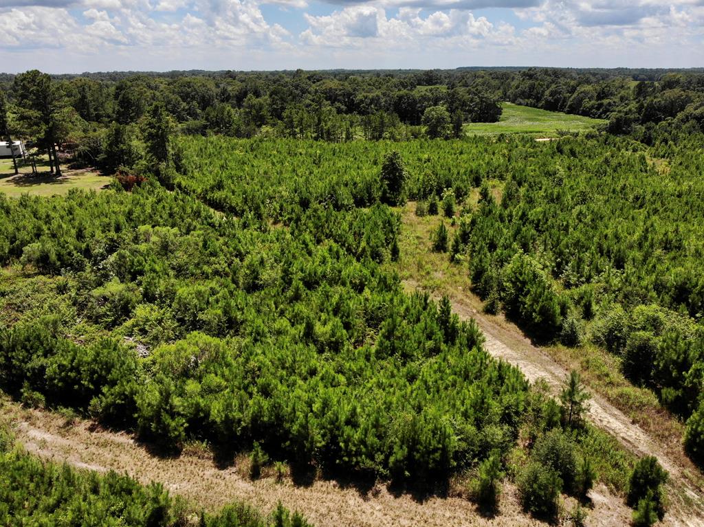 6-ac Old Elba Road Coffee Springs, AL 36318 - Photo 5 of 15