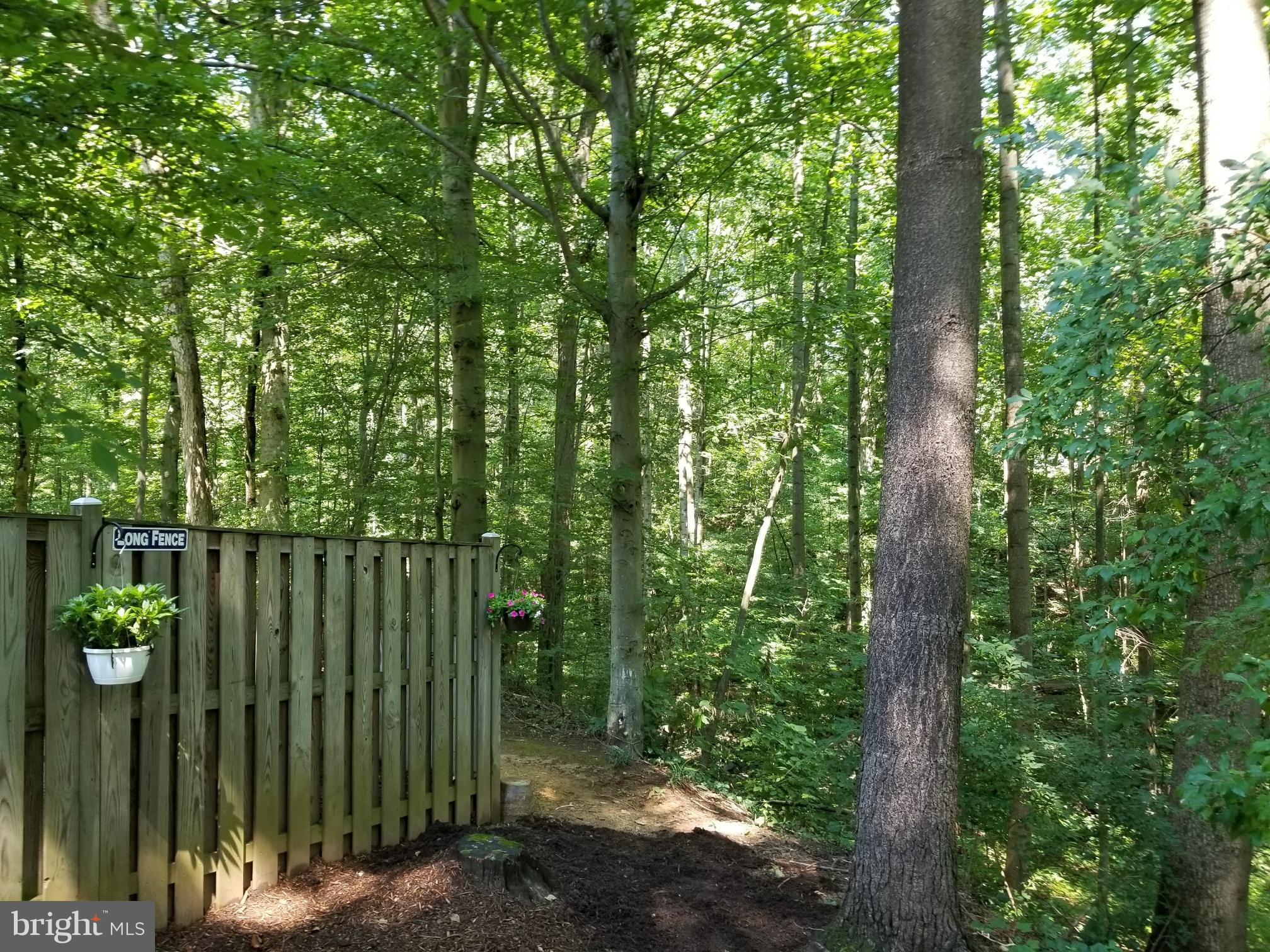 A peak of the backyard fence and view.