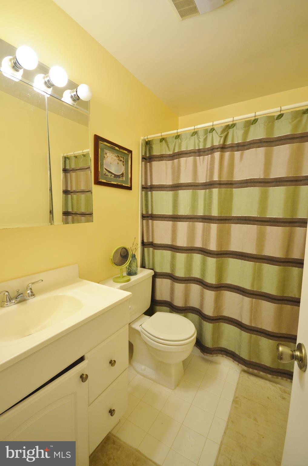 5602 Kirkham Court Springfield, VA 22151 - Photo 11 of 22 Full bath in Master Bath.