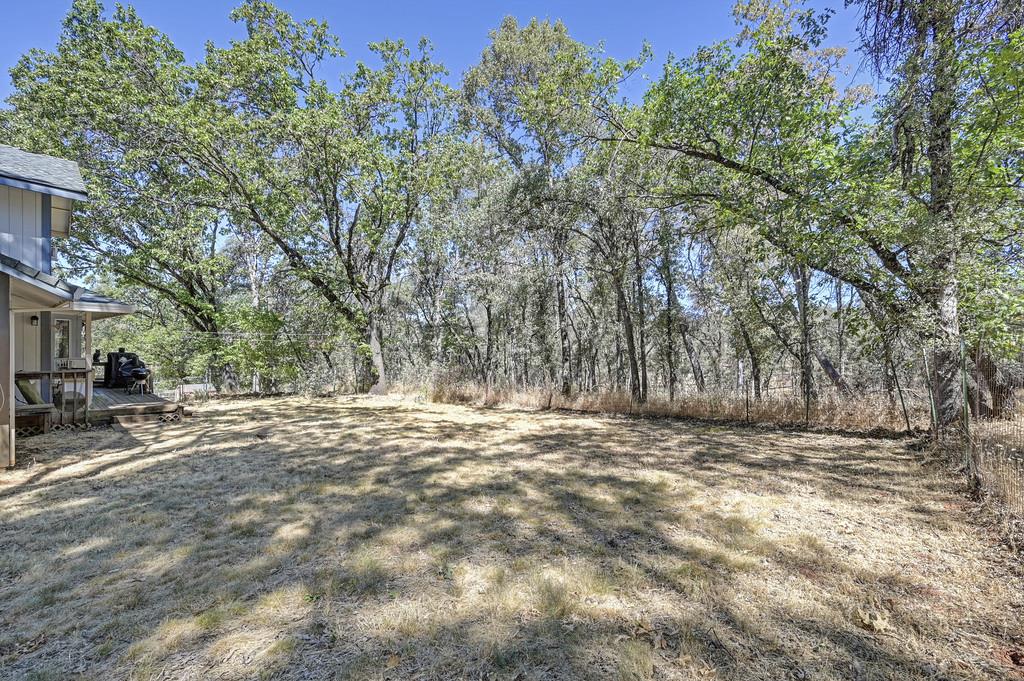 5271 Caprine Road Greenwood, CA 95635 - Photo 38 of 51 Gallery Image 38