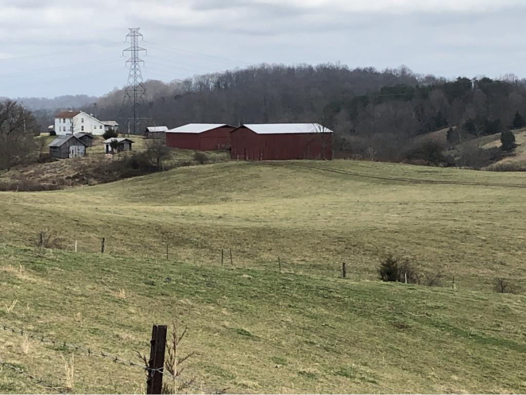 379 Hunt Road Fall Branch, TN 37656 - Photo 28 of 34 Photo 29