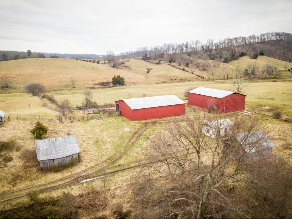 379 Hunt Road Fall Branch, TN 37656 - Photo 5 of 34 Photo 5