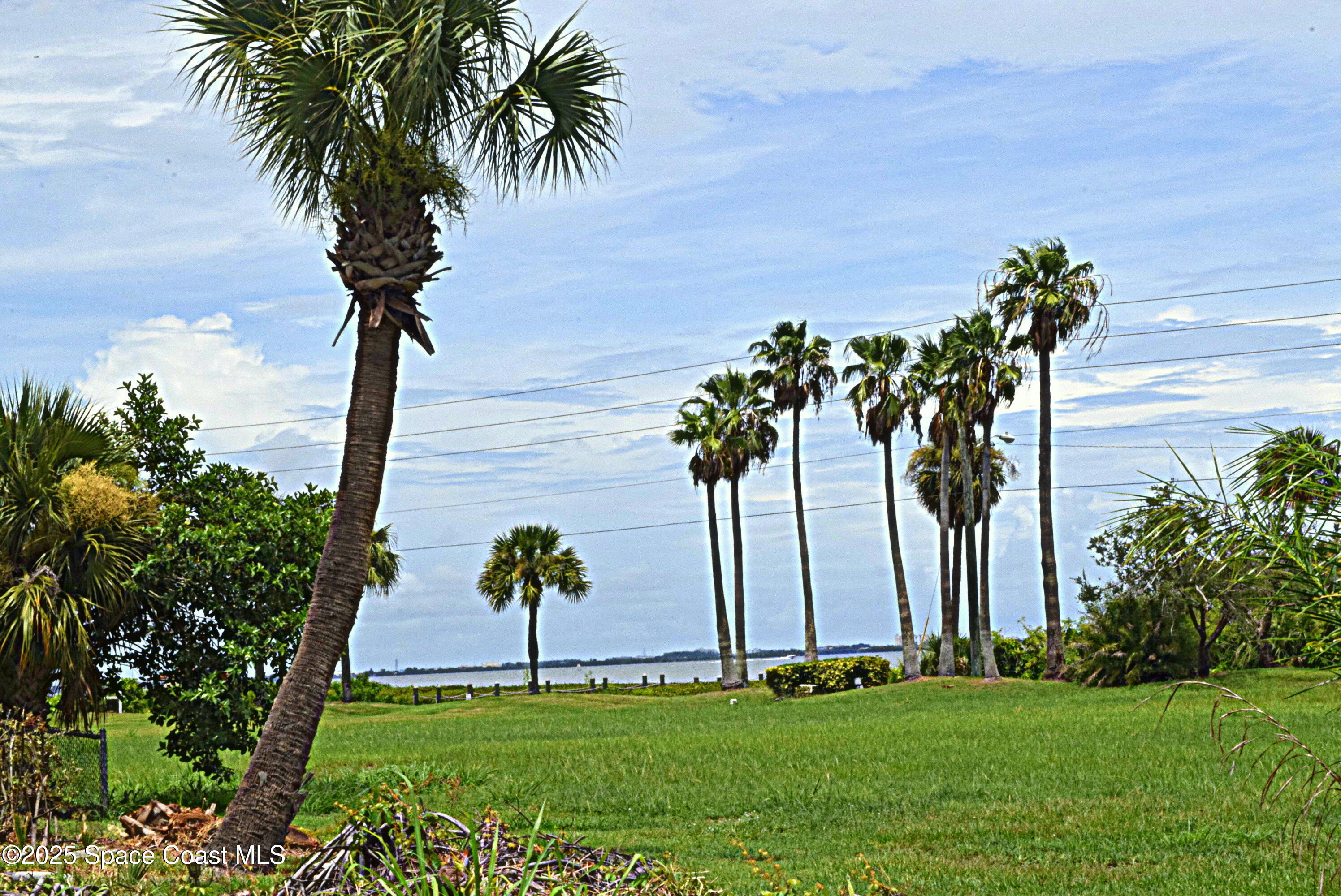 285 Utopia Circle Merritt Island, FL 32952 - Photo 27 of 32 a view of three tall trees