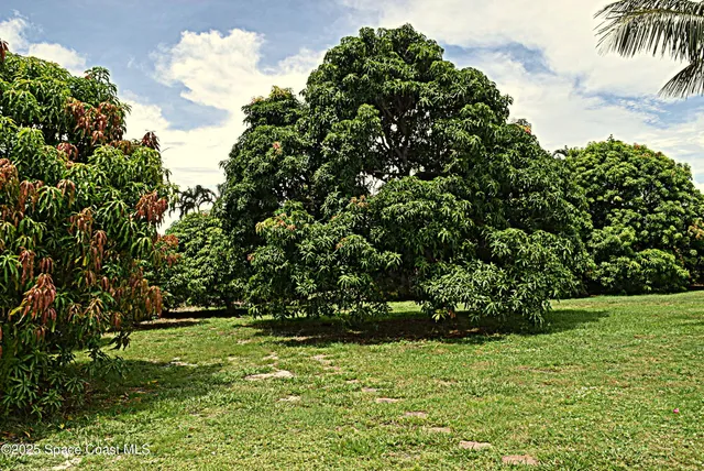 a view of yard with green space
