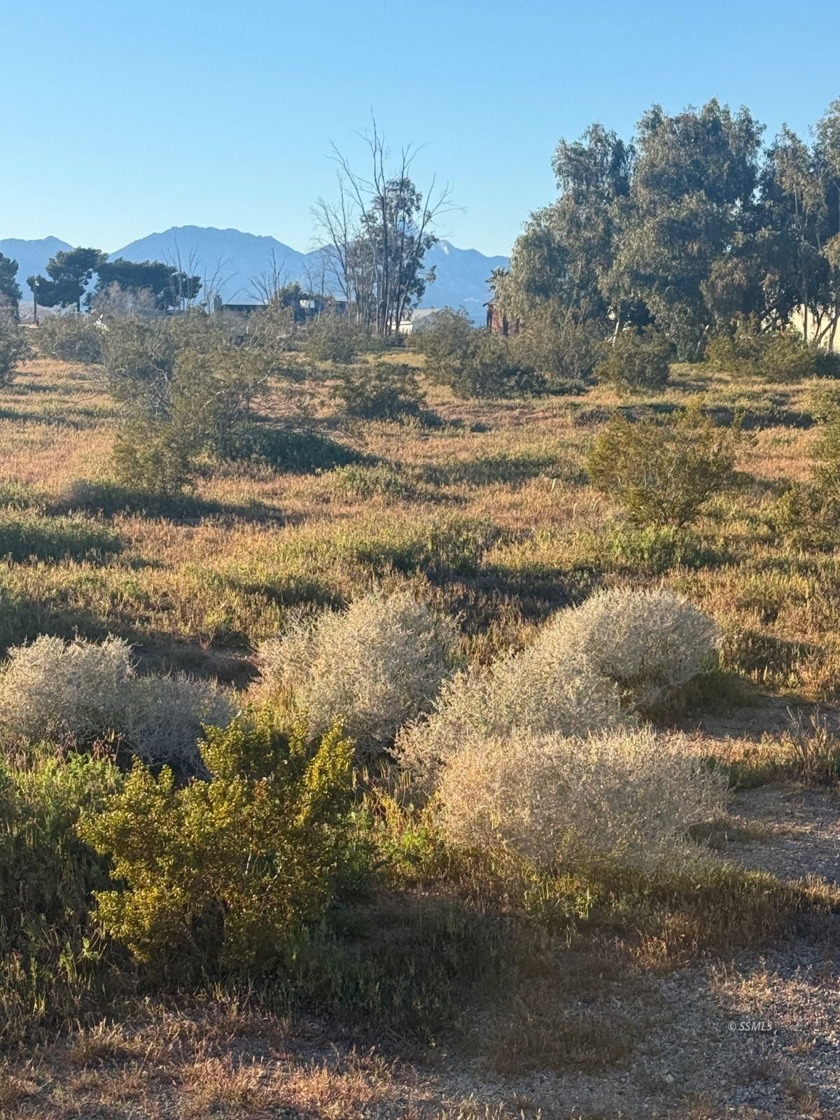 South Brady Street Ridgecrest, CA 93555 - Photo 5 of 8