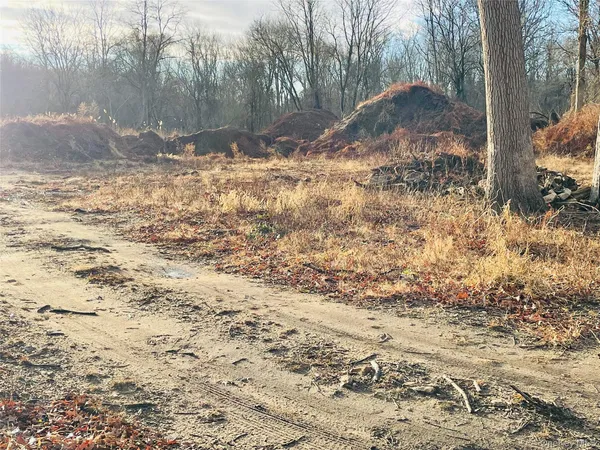 a view of dirt yard with a large tree