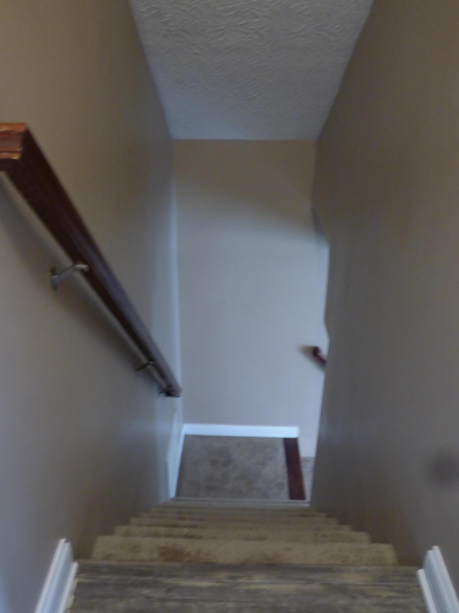 122 Regency Point Path Lexington, KY 40503 - Photo 51 of 82 P1220751