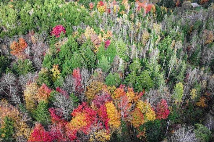 1021 Woods Road Warren, VT 05674 - Photo 17 of 24