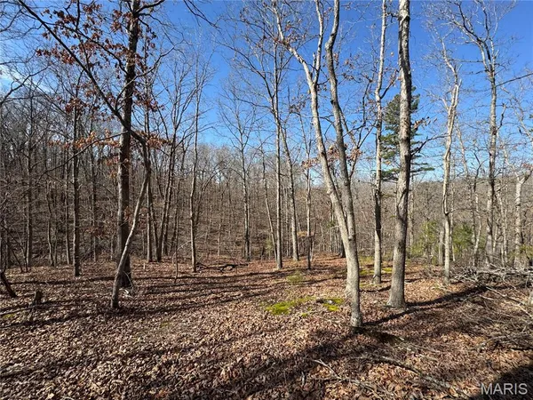 $50,000 | 1003 Hidden Valley Lakes, Annapolis, MO 63620