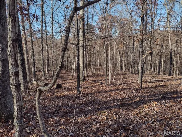 $50,000 | 1003 Hidden Valley Lakes, Annapolis, MO 63620