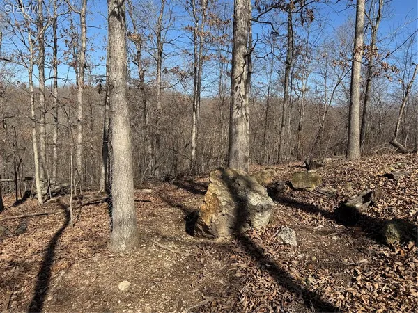 $50,000 | 1003 Hidden Valley Lakes, Annapolis, MO 63620