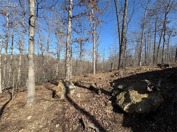 $50,000 | 1003 Hidden Valley Lakes, Annapolis, MO 63620