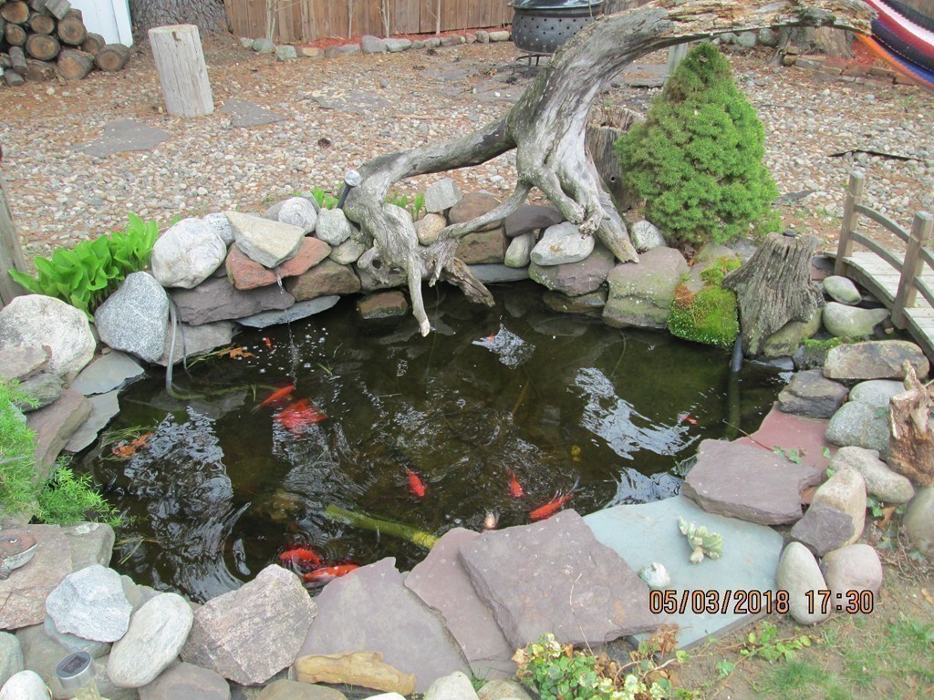 45 Rush Street Springfield, MA 01109 - Photo 26 of 27 Gallery Image 26