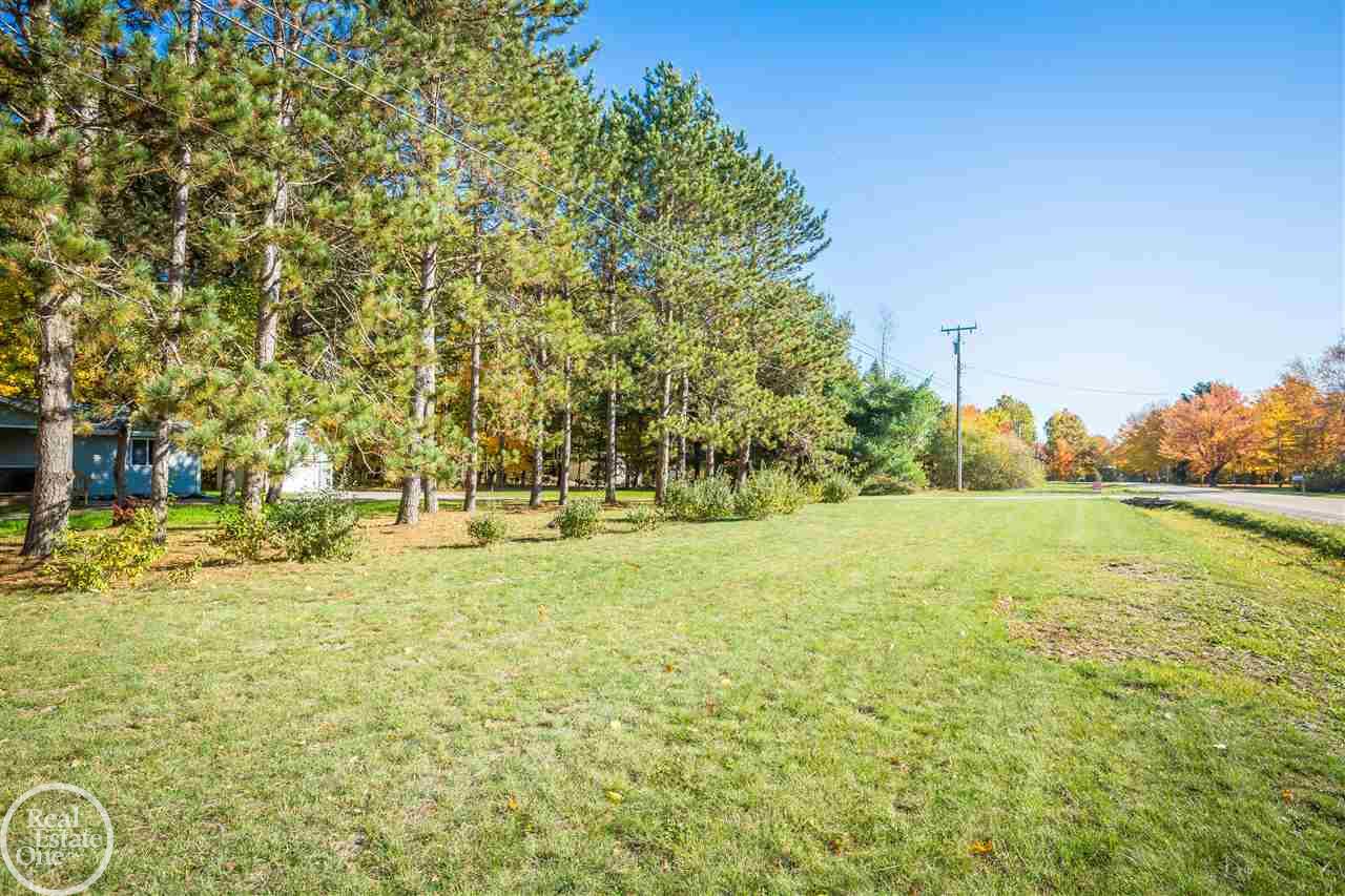 7179 Townsend Road Applegate, MI 48401 - Photo 4 of 77