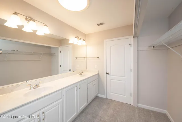 a view of a yard with plants and large trees