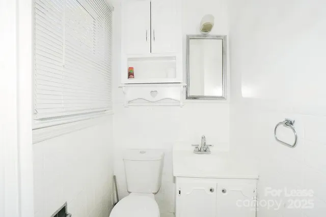 a bathroom with a toilet sink vanity and mirror