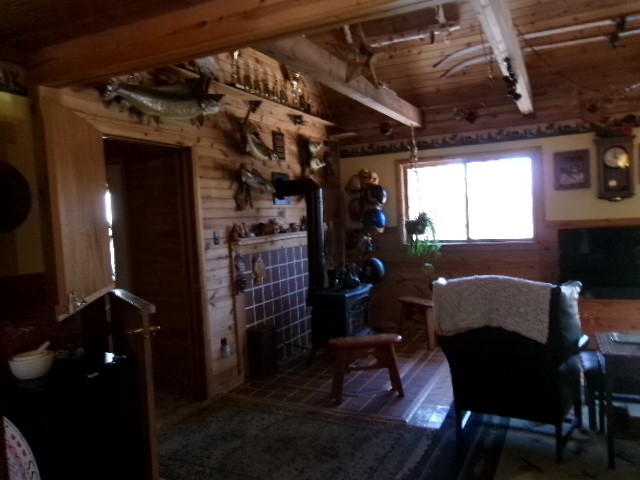 16199 Musky Point Drive Stone Lake, WI 54876 - Photo 4 of 19