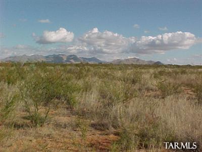0 115 East Diamondback Road St. David, AZ 85630 - Photo 2 of 3