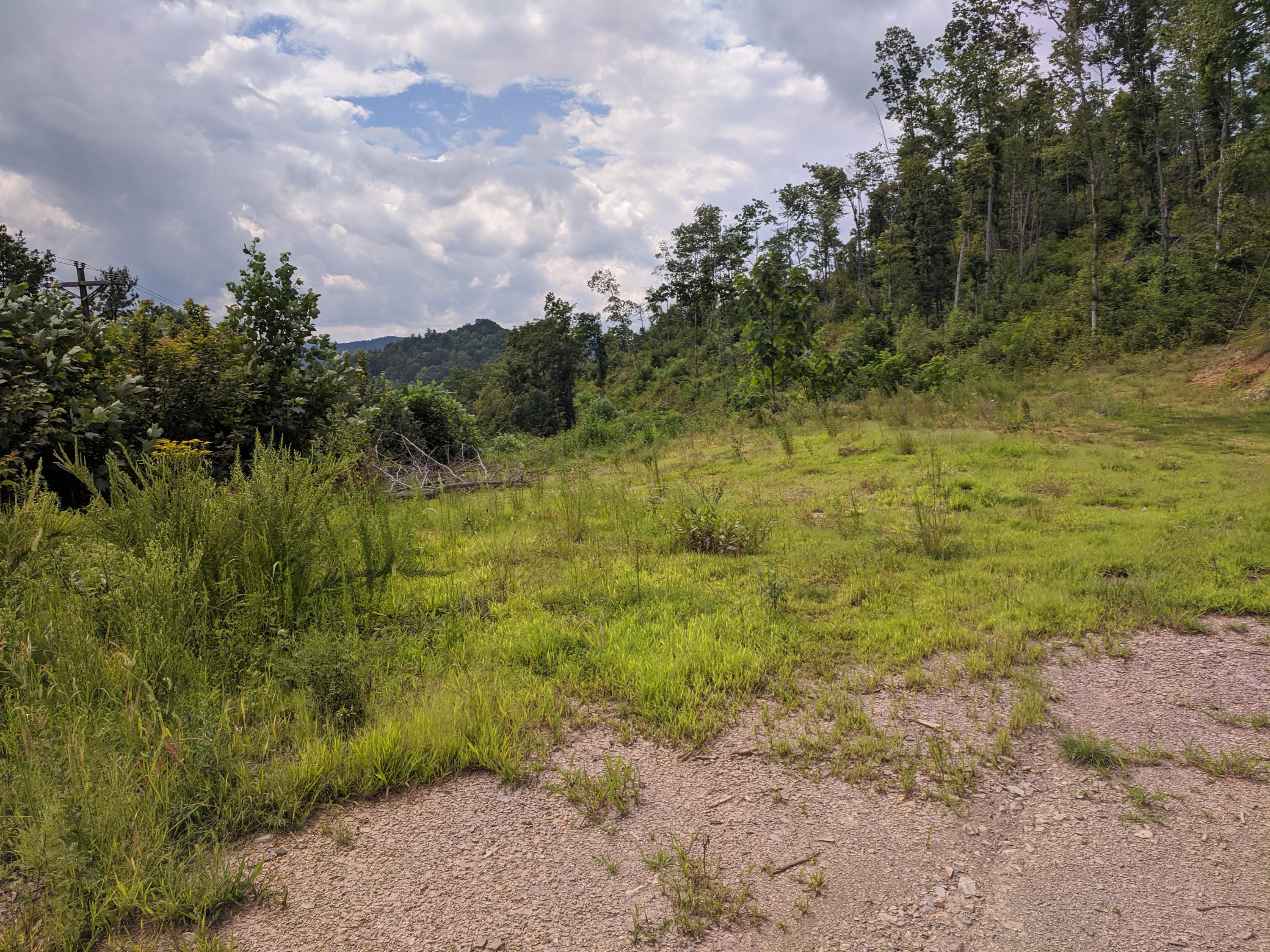 321 North Butler, TN 37640 - Photo 1 of 5 Ward 25.68 Acre 5