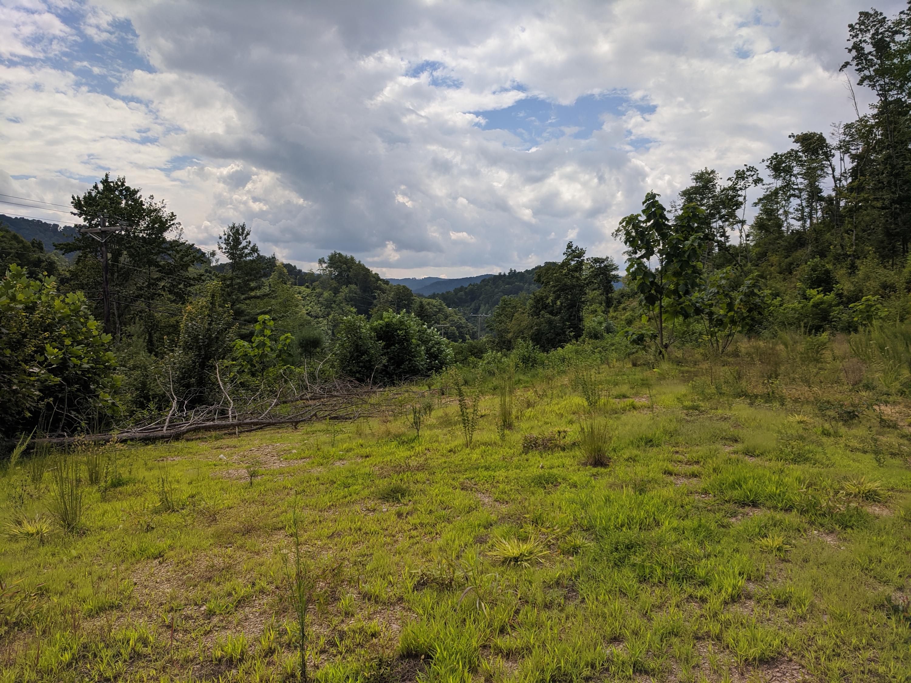 321 North Butler, TN 37640 - Photo 2 of 5 Ward 25.68 Acres 4