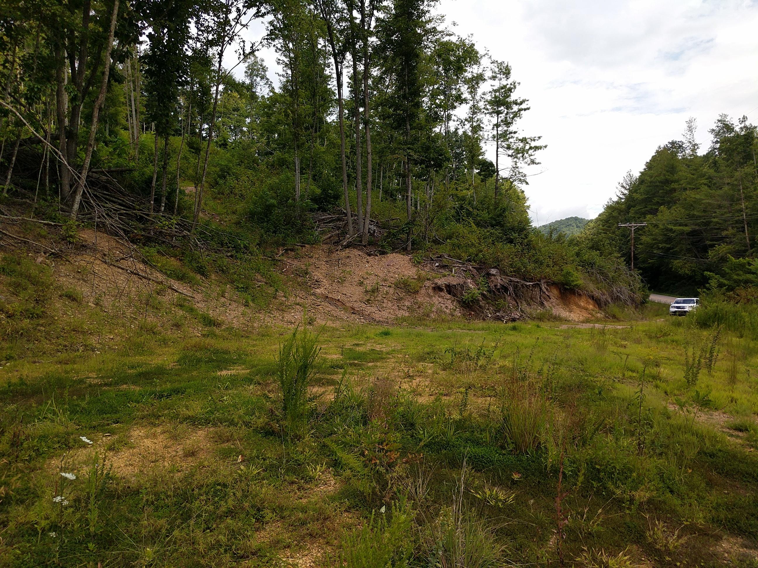 321 North Butler, TN 37640 - Photo 4 of 5 Ward 25.68 Acres 2