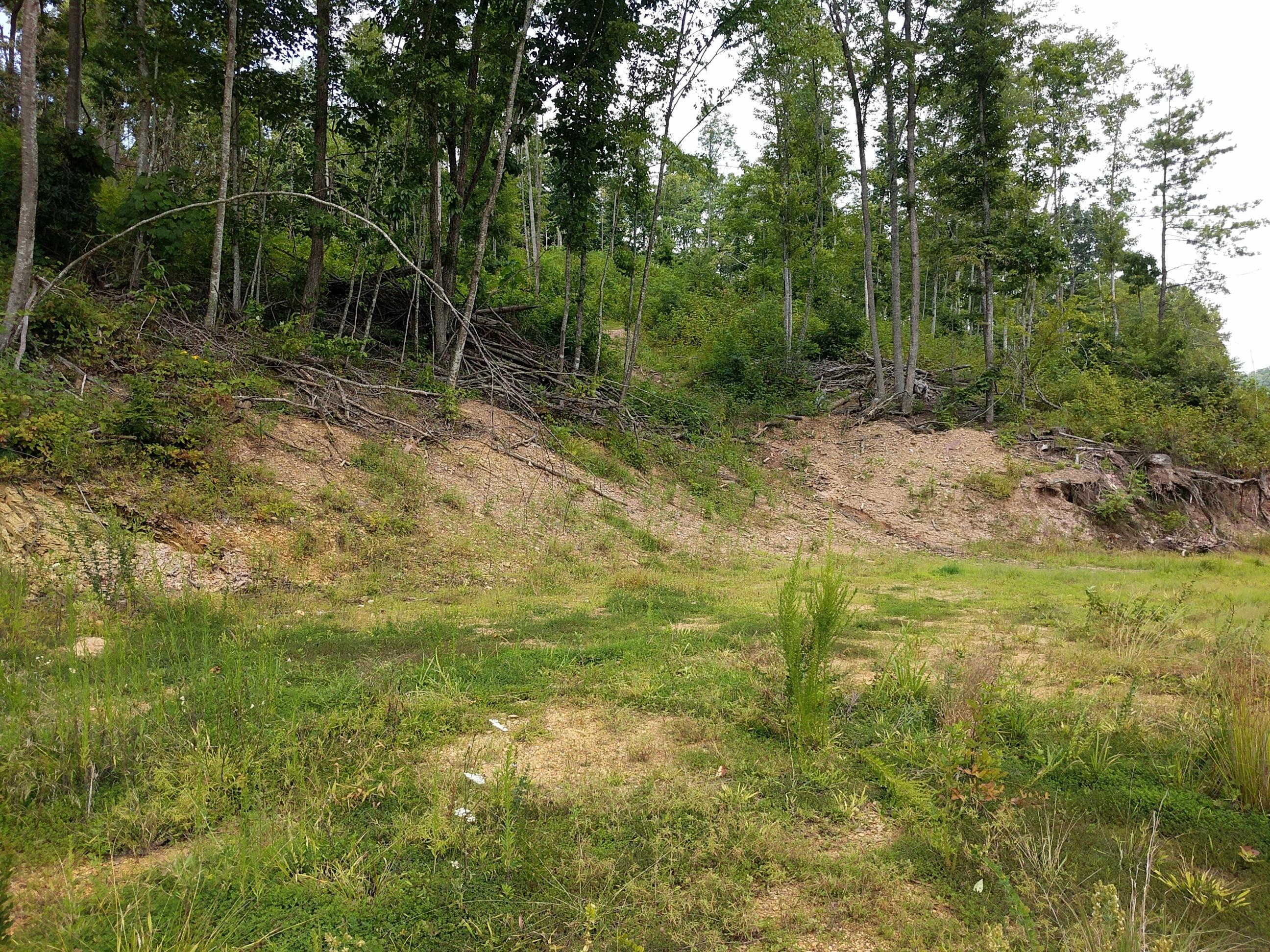 321 North Butler, TN 37640 - Photo 5 of 5 Ward 25.68 Acres 1