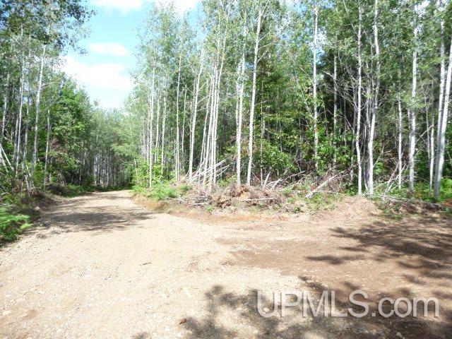 Tbd Tbd Road Republic, MI 49879 - Photo 2 of 21