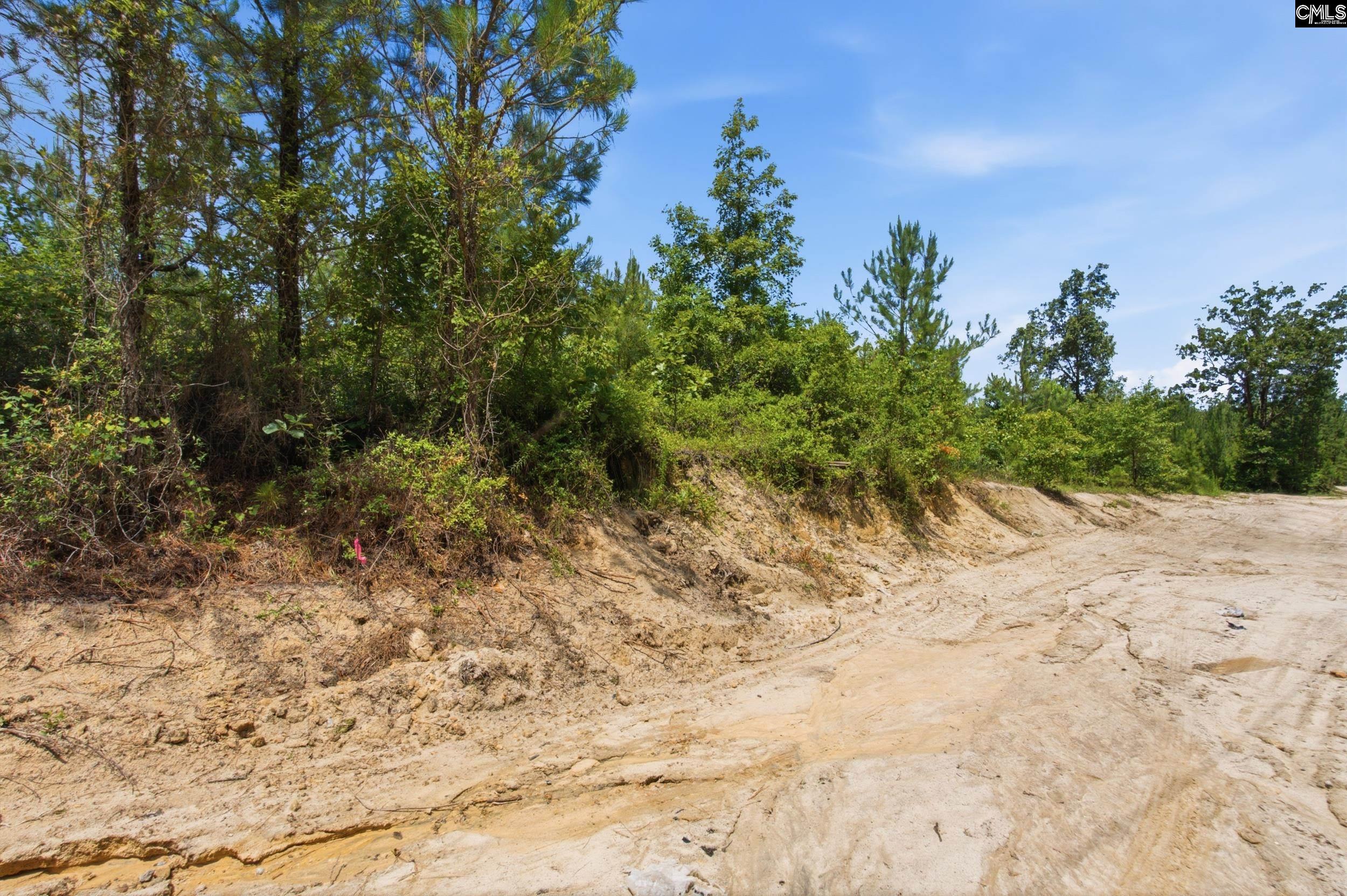 590 Springwood Lane Lexington, SC 29073 - Photo 16 of 31