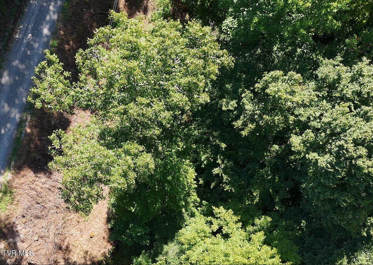 0 Rash Holw Road Jonesville, VA 24263 - Photo 13 of 16 Screenshot 2026-08-28 163957