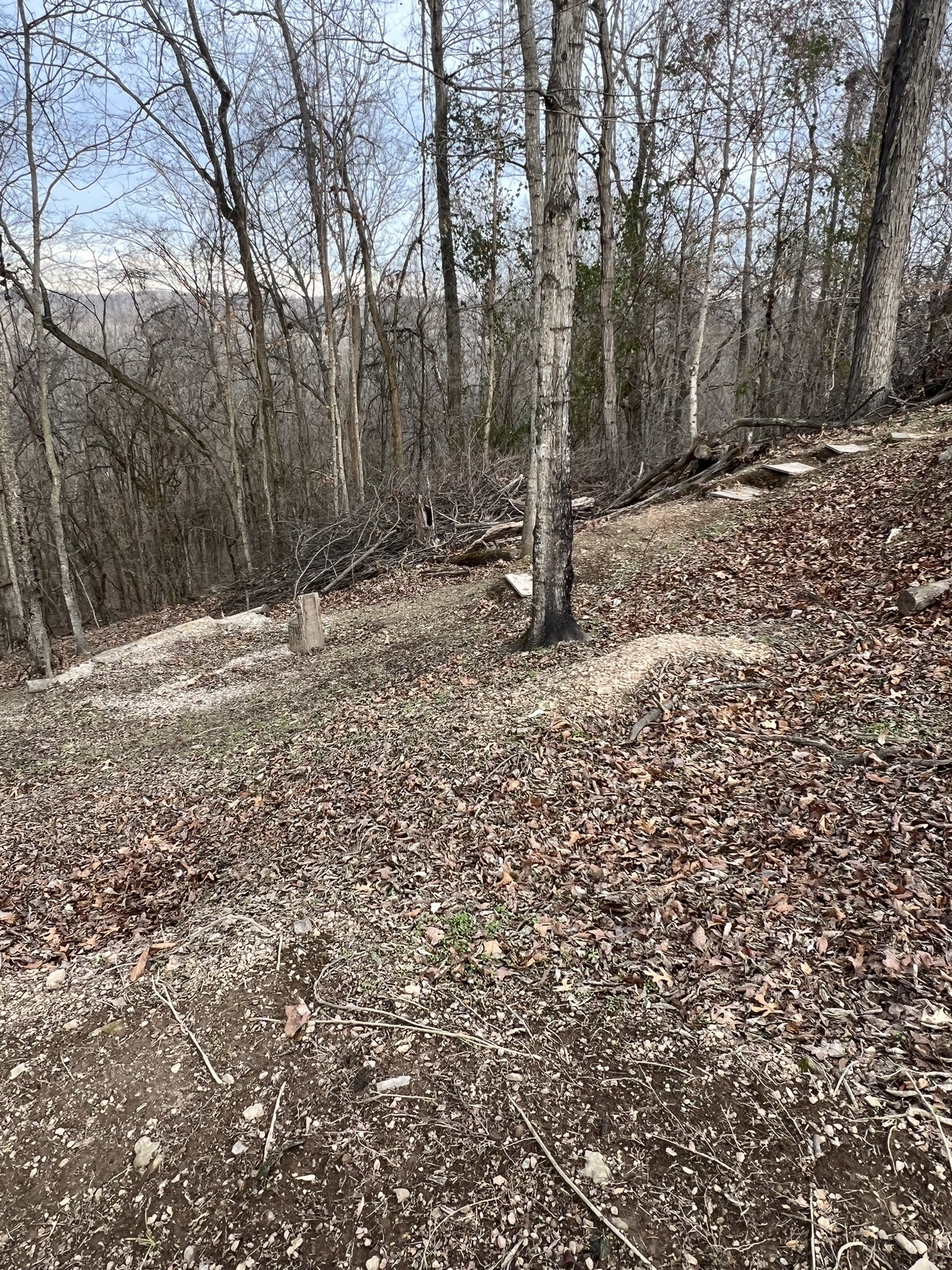 1902 B Dodson Road Columbia, TN 38401 - Photo 16 of 24 a backyard of a house with lots of green space
