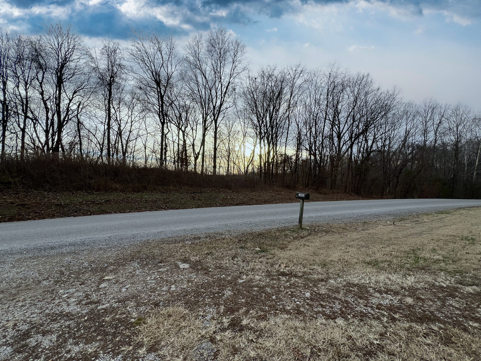 1902 B Dodson Road Columbia, TN 38401 - Photo 20 of 24 a backyard of a house with lots of green space