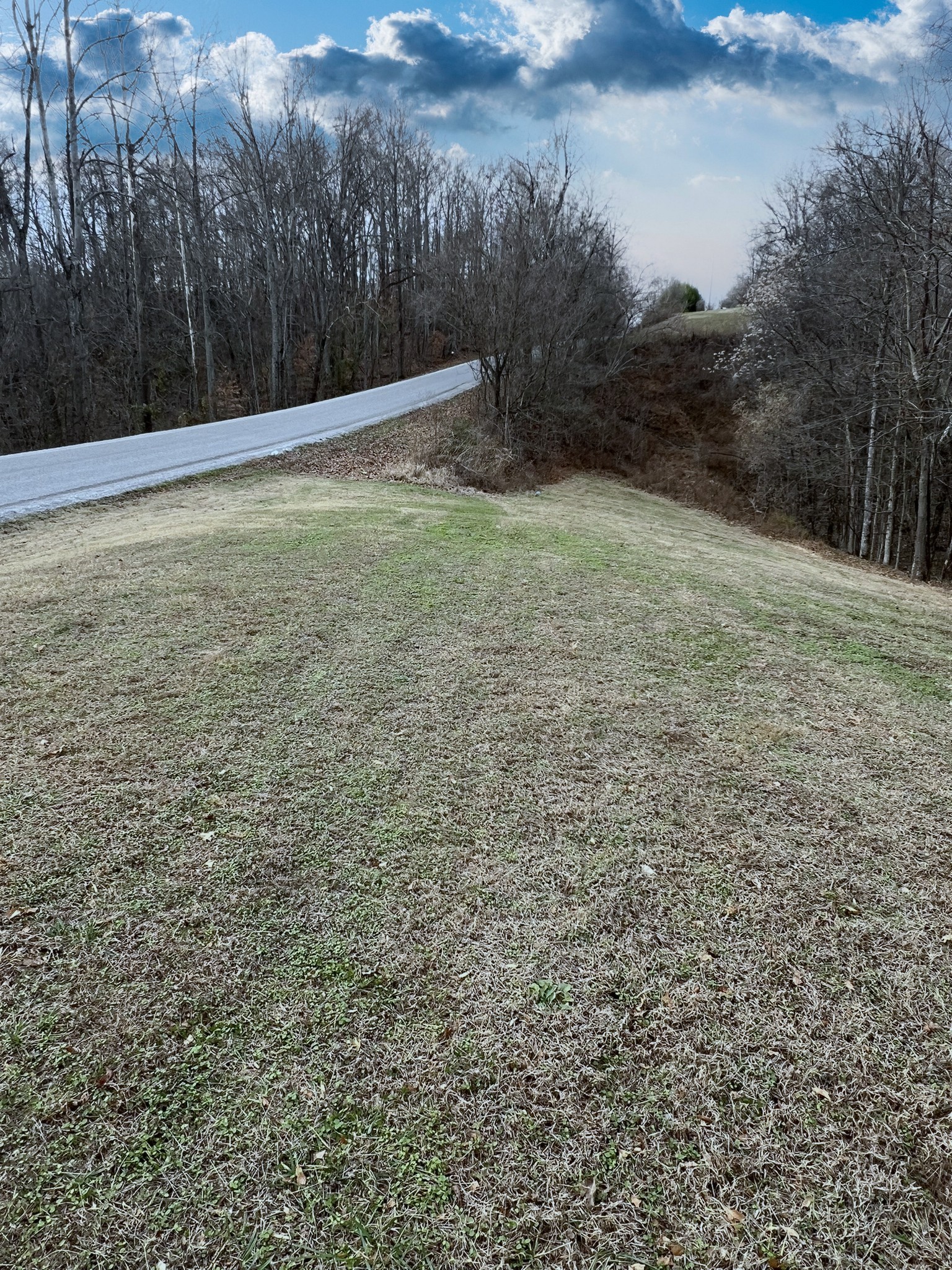 1902 B Dodson Road Columbia, TN 38401 - Photo 21 of 24 a view of a yard with wooden fence