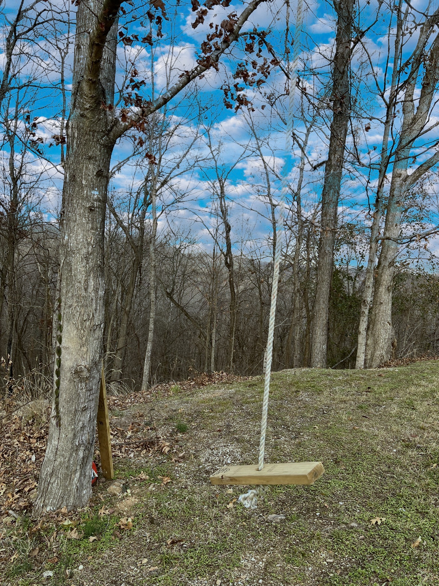 1902 B Dodson Road Columbia, TN 38401 - Photo 24 of 24 a house with trees in the background