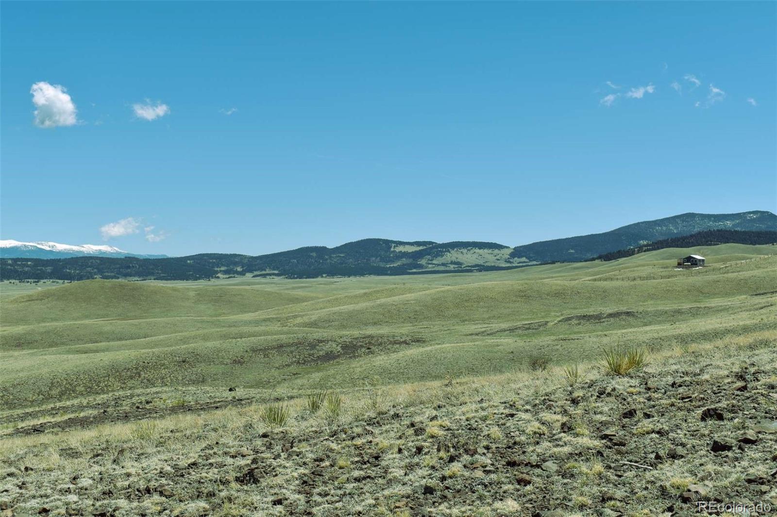 Lot 16 Canyon Ranch Road Hartsel, CO 80449 - Photo 12 of 36 Gallery Image 12