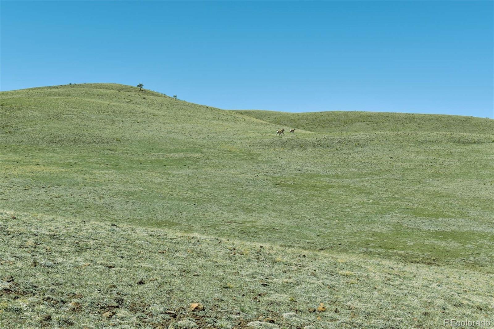 Lot 16 Canyon Ranch Road Hartsel, CO 80449 - Photo 13 of 36 Gallery Image 13