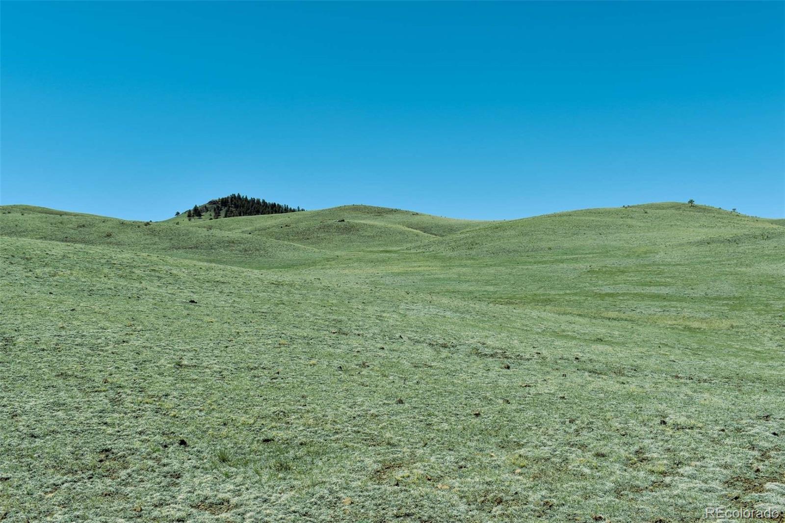 Lot 16 Canyon Ranch Road Hartsel, CO 80449 - Photo 14 of 36 Gallery Image 14