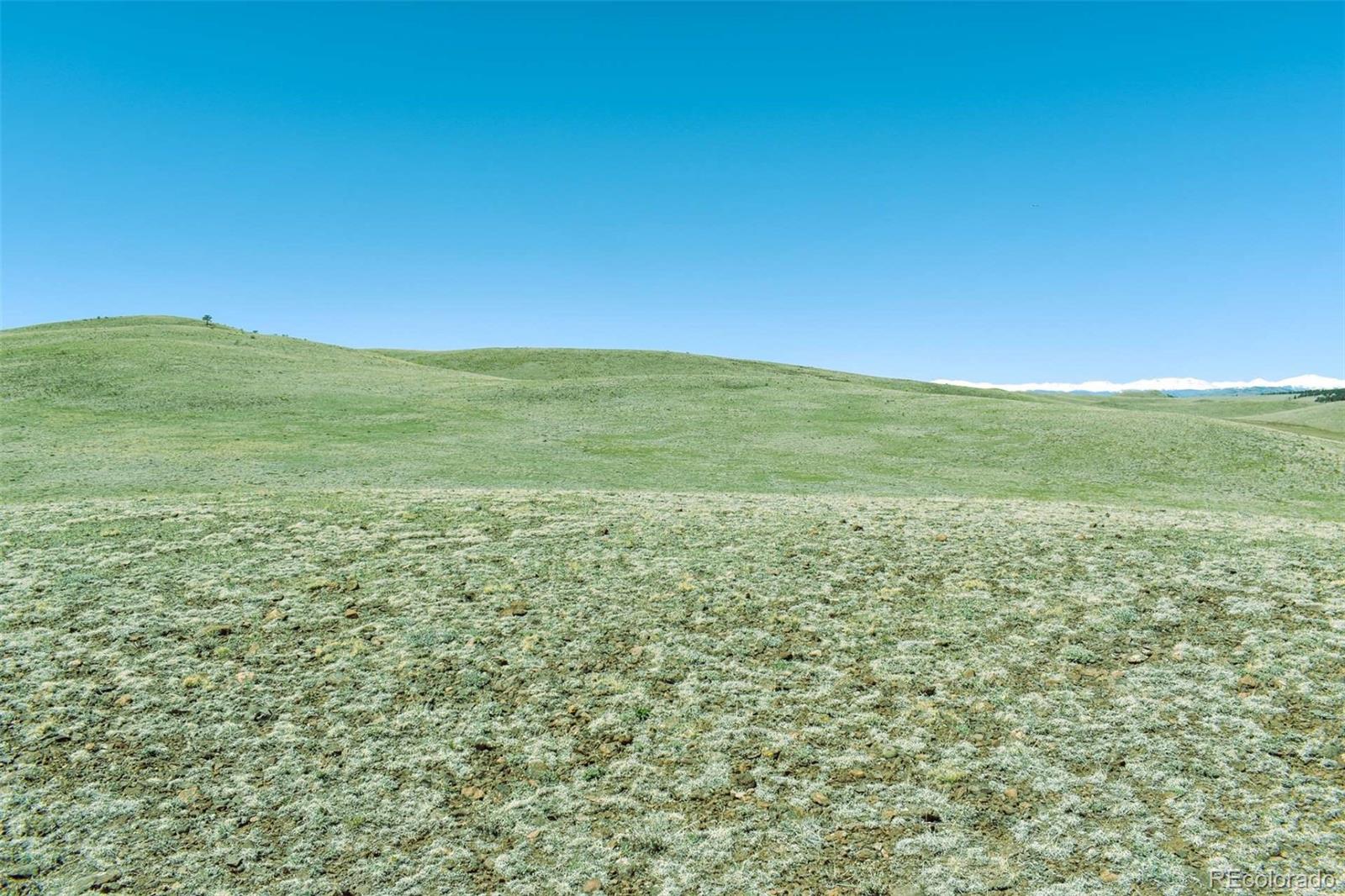 Lot 16 Canyon Ranch Road Hartsel, CO 80449 - Photo 19 of 36 Gallery Image 19