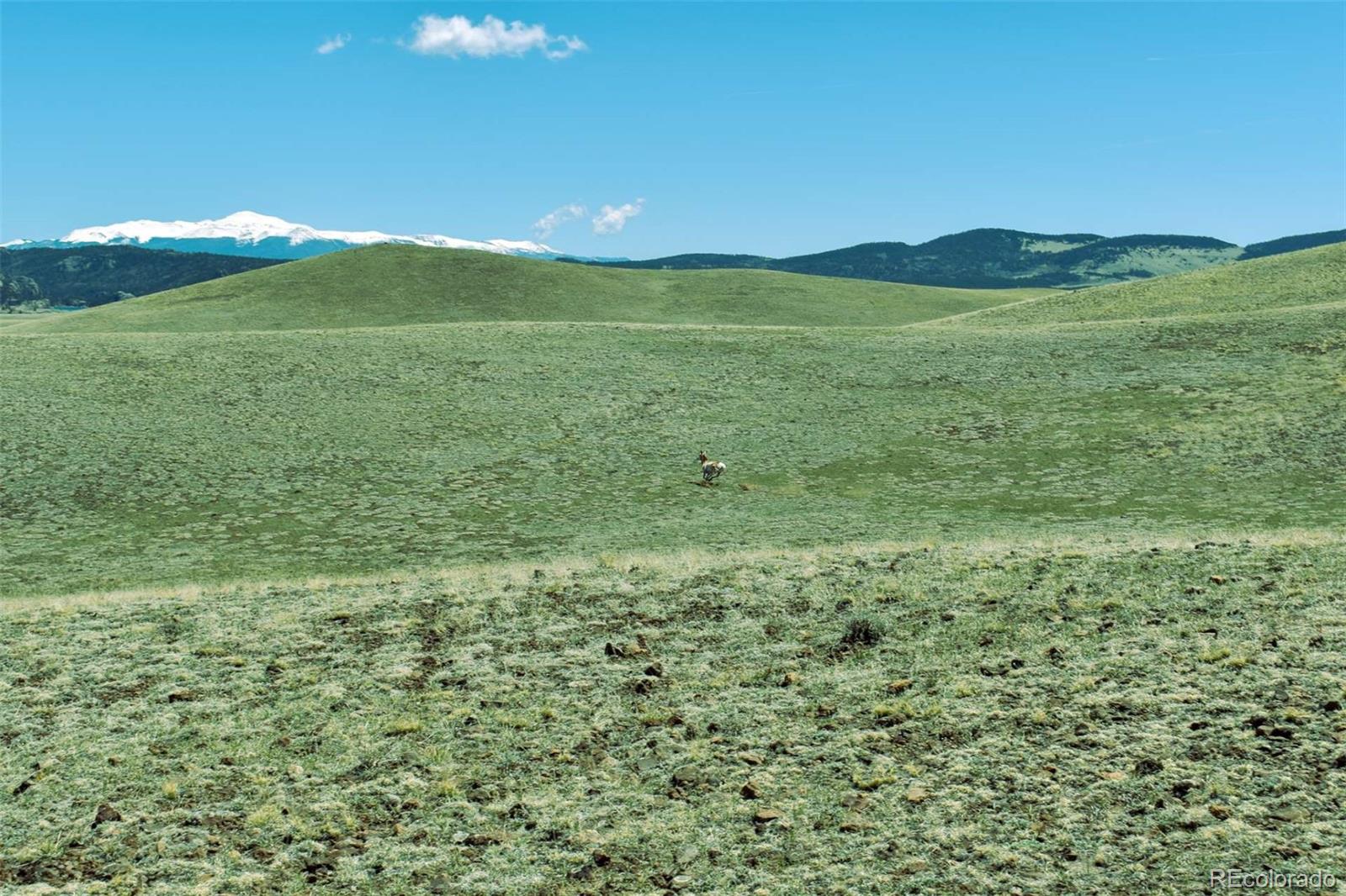 Lot 16 Canyon Ranch Road Hartsel, CO 80449 - Photo 2 of 36 Gallery Image 2