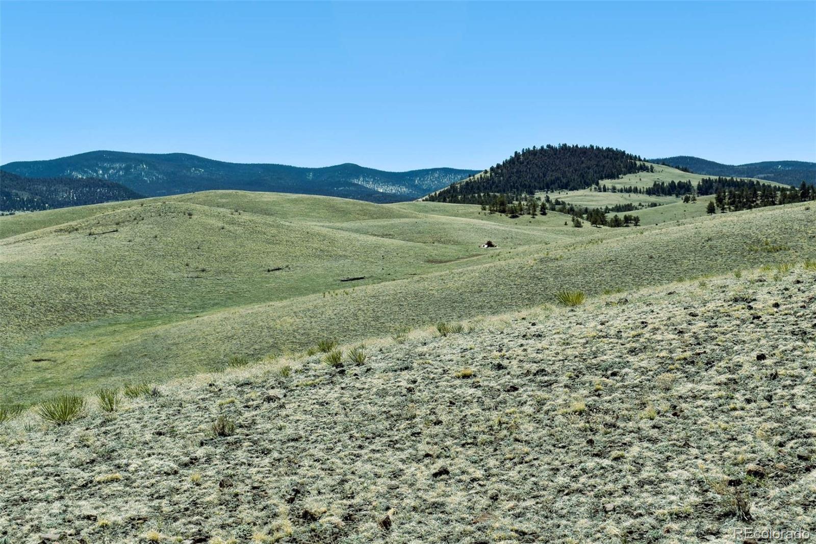 Lot 16 Canyon Ranch Road Hartsel, CO 80449 - Photo 25 of 36 Gallery Image 25