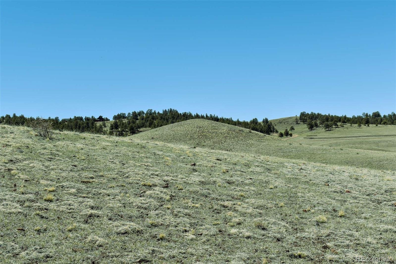 Lot 16 Canyon Ranch Road Hartsel, CO 80449 - Photo 26 of 36 Gallery Image 26